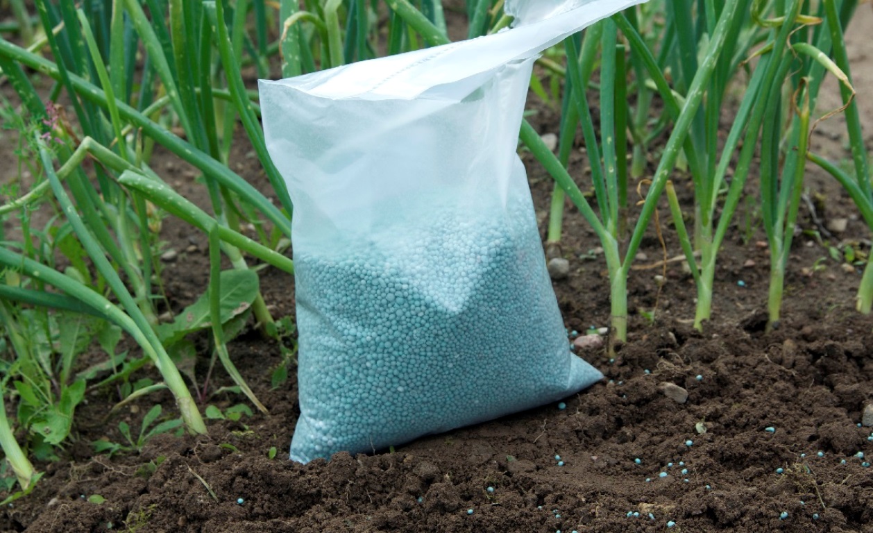 A bag of fertiliser on the shamba. PHOTO/COURTESY